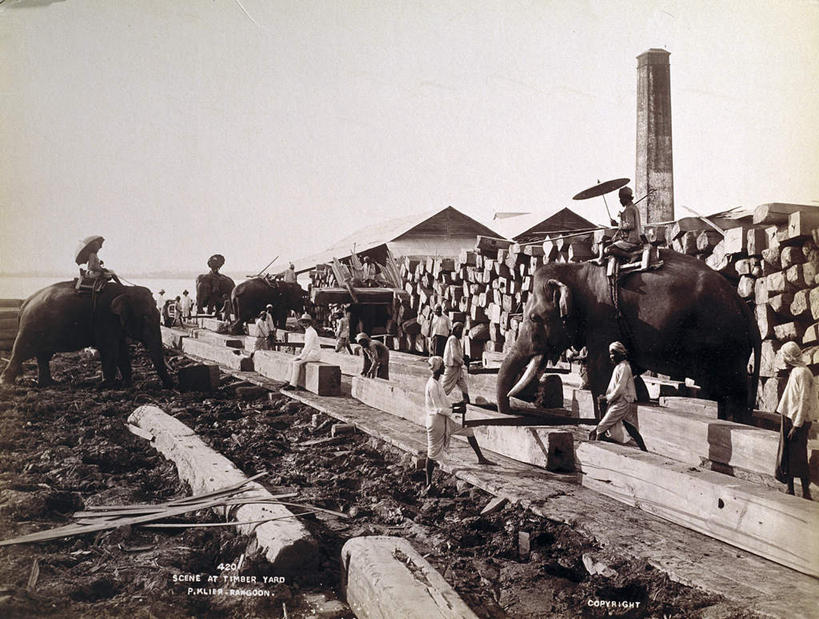 东方人,无人,家,站,走,横图,室外,白天,正面,道路,路,哺乳动物,大象,野生动物,亚洲,一堆,许多,阴影,堆叠,堆积,服装,光线,长袍,头巾,影子,房屋,屋子,泥土,土壤,小路,交通,很多,许多人,黄种人,楼房,住宅,衣服,蓝色,蓝天,天空,动物,天,站着,一群人,服饰,晴朗,堆,衣着,穿着,圆木,泛黄,老照片,万里无云,衣饰,旧照,男人,男性,年轻男性,亚洲人,晴空,晴空万里,象,步行,散步,站立,走路,彩图,房子