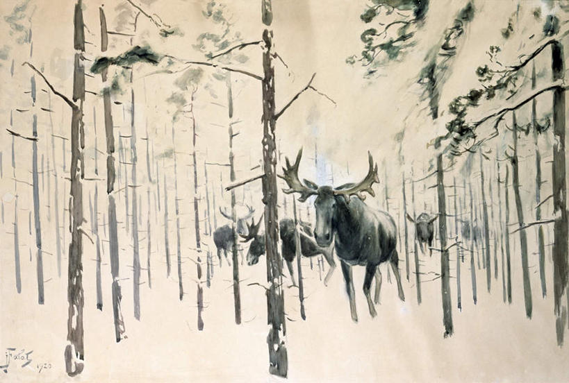 无人,站,横图,室内,白天,正面,绘画,美景,雪,植物,大雪,哺乳动物,鹿,野生动物,油画,许多,艺术,积雪,景观,雪景,冬季,冬天,枝条,古典,注视,文化,树,树木,树枝,自然,动物,工艺品,观察,看,品味,站着,景色,寒冷,可爱,活泼,观看,美术,察看,高雅,关注,自然风光,驼鹿,美学,严寒,罕达犴,堪达犴,虬枝,枝杈,站立,彩图,全身
