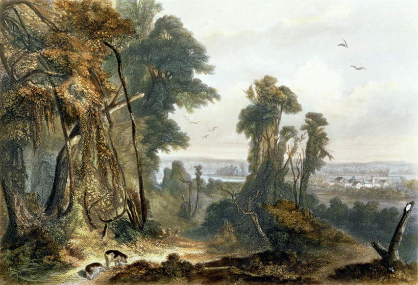 无人,家,横图,室内,白天,正面,绘画,河流,山,山脉,树林,水,植物,道路,路,野生动物,猪,油画,美国,波纹,艺术,野猪,房屋,屋子,河水,山峰,水流,云,云朵,小路,交通,涟漪,山峦,古典,云彩,文化,楼房,住宅,树,树木,蓝色,绿色,白云,倒影,蓝天,水纹,天空,自然,动物,工艺品,波浪,群山,天,品味,生长,晴朗,成长,美术,倒映,北美,高雅,北美洲,美洲,凶猛,水晕,美学,北亚美利加洲,亚美利加洲,印第安纳,印第安纳州,保守之州,苦干之州,山猪,反照,残暴,凶残,晴空,彩图,全身,房子