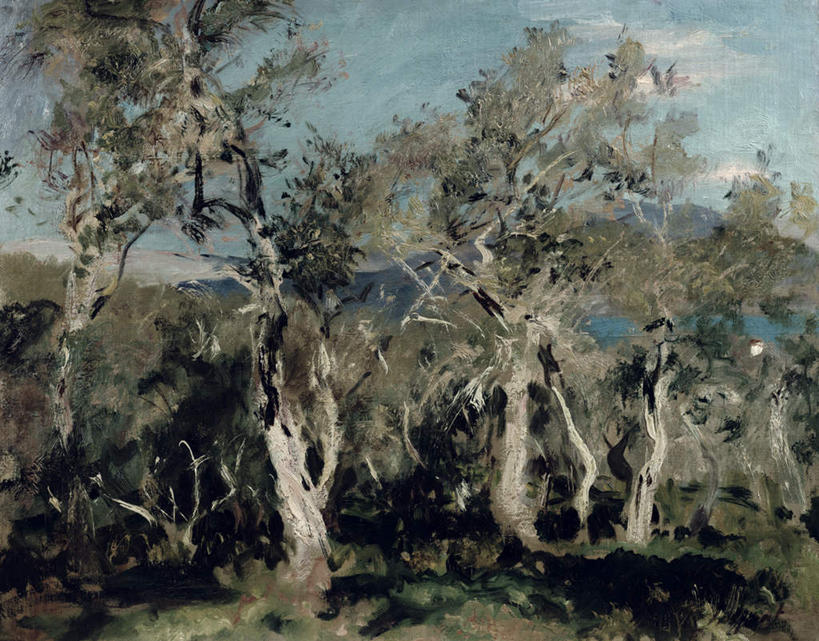 无人,横图,室内,白天,正面,旅游,度假,绘画,草地,草坪,美景,树林,植物,油画,希腊,欧洲,艺术,景观,云,云朵,古典,云彩,文化,娱乐,草,树,树木,蓝色,绿色,白云,蓝天,天空,自然,工艺品,天,品味,享受,休闲,景色,放松,生长,晴朗,成长,美术,高雅,自然风光,希腊共和国,美学,爱奥尼亚群岛,伊奥尼亚群岛,科孚岛,克基拉岛,晴空,彩图