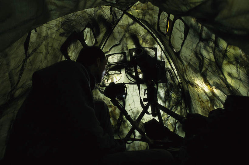 西方人,一个人,横图,室内,白天,仰视,相机,欧洲,欧洲人,仅一个男性,仅一个人,仅一个中年男性,阴影,服装,光线,影子,洞,注视,休闲装,拍照,衣服,阳光,数码相机,观察,看,休闲,休闲服,摄影,服饰,洞穴,观看,察看,关注,穴,男人,男性,中年男性,白种人,照相机,半身,彩图,低角度拍摄,照相