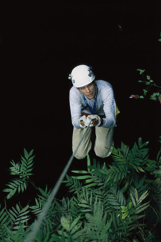 西方人,拉,攀登,竖图,俯视,室外,白天,旅游,度假,植物,帽子,叶子,欧洲,欧洲人,仅一个男性,仅一个人,吊挂,悬挂,服装,绿叶,挂,休闲装,娱乐,运动帽,仅一个年轻男性,衣服,绿色,自然,绳子,享受,休闲,休闲服,爬,嫩叶,鸭舌帽,放松,服饰,生长,成长,绳索,拉着,户外运动,白种人,叶,叶片,攀爬,彩图,高角度拍摄,全身