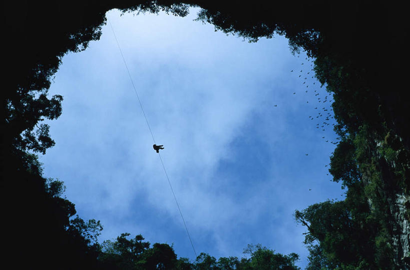 西方人,横图,室外,白天,仰视,旅游,度假,森林,树林,植物,欧洲,欧洲人,仅一个男性,仅一个人,吊挂,悬挂,阴影,光线,影子,洞,云,云朵,挂,云彩,娱乐,树,树木,仅一个年轻男性,蓝色,绿色,白云,蓝天,天空,阳光,自然,绳子,天,享受,休闲,放松,洞穴,生长,晴朗,成长,绳索,户外运动,穴,白种人,晴空,彩图,低角度拍摄,全身