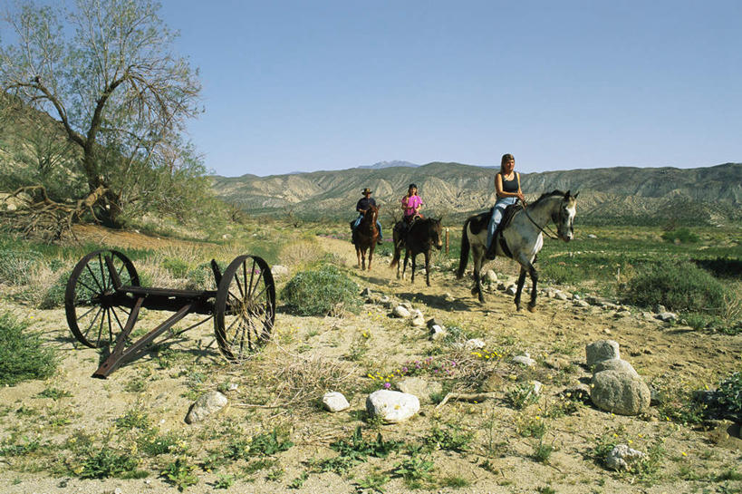 西方人,三个人,伙伴,朋友,坐,横图,室外,白天,正面,旅游,度假,友谊,草地,草坪,石头,山,山脉,植物,马,野生动物,欧洲,欧洲人,阴影,光线,石子,影子,山峰,山峦,娱乐,草,树,树木,蓝色,绿色,蓝天,天空,阳光,自然,动物,群山,天,驾驶,行驶,享受,休闲,放松,运输,牲畜,生长,晴朗,成长,操纵,控制,三匹,操控,万里无云,把持,友情,年轻女性,女人,女性,白种人,石块,晴空,晴空万里,坐着,彩图,全身