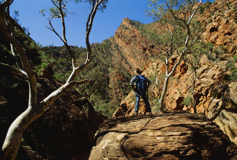 西方人,站,横图,室外,白天,旅游,度假,草地,草坪,石头,山,山脉,植物,欧洲,欧洲人,仅一个男性,仅一个人,阴影,光线,包,石子,影子,山峰,山峦,旅行包,娱乐,手叉腰,草,树,树木,仅一个年轻男性,背面,蓝色,绿色,蓝天,天空,阳光,自然,背包,群山,天,叉腰,站着,享受,休闲,放松,生长,晴朗,成长,双手叉腰,万里无云,旅游包,白种人,石块,晴空,晴空万里,站立,彩图,全身,双肩包