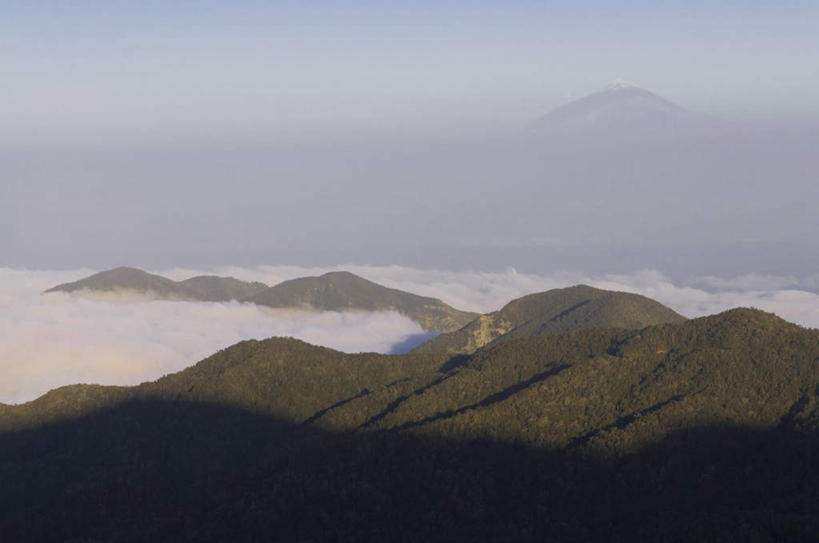 无人,公园,横图,俯视,航拍,室外,白天,旅游,度假,石头,美景,森林,山,山脉,树林,植物,西班牙,欧洲,阴影,光线,石子,影子,景观,山顶,山峰,云,云朵,山峦,云彩,娱乐,树,树木,蓝色,绿色,白云,蓝天,天空,阳光,自然,群山,天,享受,休闲,景色,放松,生长,晴朗,成长,国家公园,加纳利群岛,鸟瞰,南欧,自然风光,加那利群岛,沉积岩,西班牙王国,颠峰,极峰,水成岩,戈梅拉岛,加拉霍奈国家公园,石块,岩石,晴空,彩图,高角度拍摄