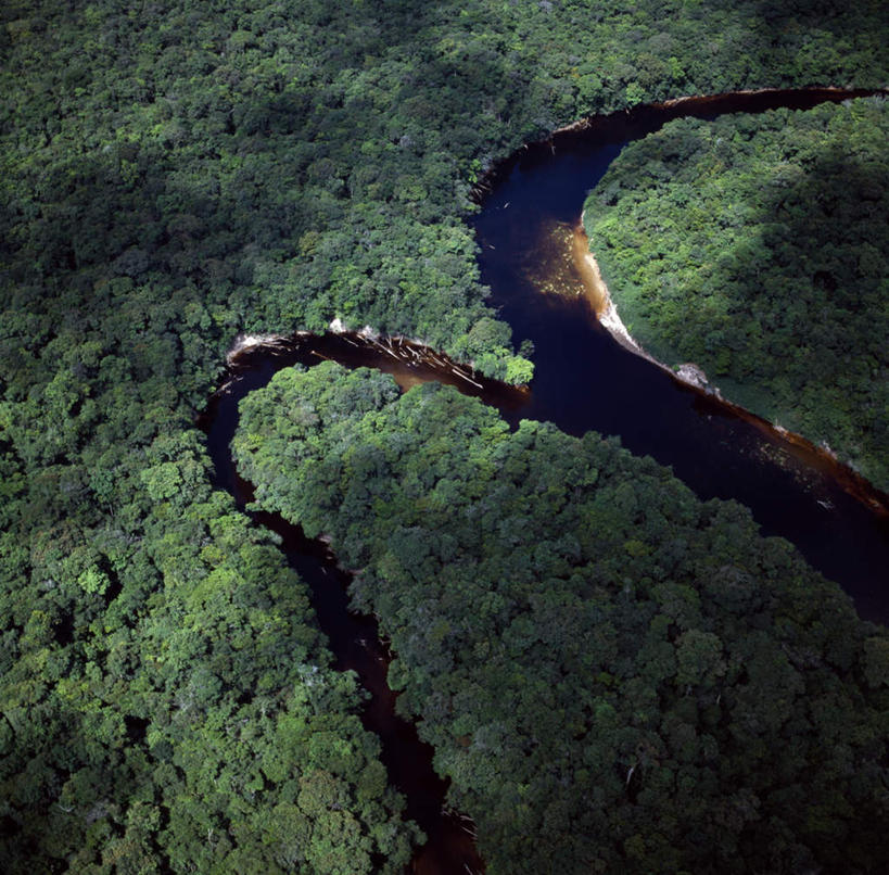 无人,横图,俯视,航拍,室外,白天,旅游,度假,河流,美景,森林,树林,水,植物,圭亚那,阴影,曲折,弯曲,光线,影子,河水,景观,水流,娱乐,树,树木,绿色,倒影,阳光,自然,享受,休闲,景色,南美,放松,蜿蜒,生长,成长,南美洲,倒映,拉丁美洲,鸟瞰,自然风光,美洲,亚美利加洲,南亚美利加洲,圭亚那合作共和国,反照,彩图,高角度拍摄