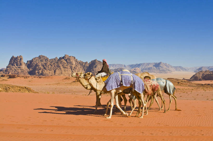 一个人,坐,横图,室外,白天,侧面,旅游,度假,石头,美景,沙漠,山,山脉,野生动物,约旦,亚洲,仅一个男性,仅一个人,仅一个中年男性,握,阴影,服装,光线,石子,影子,景观,山峰,云,云朵,山峦,拿,云彩,拿着,注视,休闲装,娱乐,骆驼,四匹,衣服,蓝色,白云,蓝天,天空,阳光,自然,动物,群山,天,观察,看,享受,休闲,休闲服,景色,放松,握着,运输,服饰,晴朗,观看,察看,关注,自然风光,西亚,沙漠之舟,单峰骆驼,约旦哈希姆王国,瓦迪拉姆,瓦迪拉姆保护区,男人,男性,中年男性,阿拉伯人,白种人,亚洲人,大漠,砂漠,石块,岩石,晴空,坐着,彩图,全身