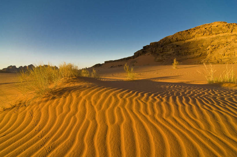 无人,横图,室外,白天,正面,旅游,度假,美景,沙漠,植物,约旦,亚洲,阴影,波纹,枯萎,光线,纹路,纹理,影子,景观,枯草,涟漪,娱乐,草,黄色,蓝色,蓝天,天空,阳光,自然,天,享受,休闲,景色,放松,晴朗,自然风光,西亚,万里无云,肌理,约旦哈希姆王国,瓦迪拉姆,瓦迪拉姆保护区,大漠,砂漠,晴空,晴空万里,彩图