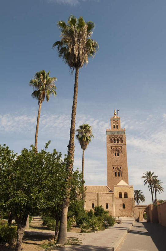 无人,竖图,室外,白天,仰视,旅游,度假,植物,标志建筑,地标,建筑,棕榈树,叶子,非洲,摩洛哥,阴影,节日,光线,影子,云,云朵,绿叶,云彩,文化,娱乐,建设,树,树木,蓝色,绿色,白云,蓝天,天空,阳光,自然,天,祈祷,享受,休闲,健康,嫩叶,旅游胜地,放松,许愿,宗教,信仰,生长,晴朗,成长,纪念,祈求,伊斯兰教,清真寺,棕榈叶,阿非利加洲,摩洛哥王国,马拉喀什,库图比亚清真寺,库杜比亚清真寺,平安,叶,叶片,晴空,彩图,低角度拍摄