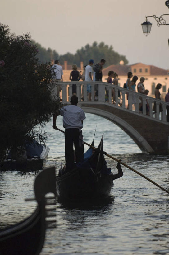 划船,西方人,手,家,站,走,竖图,室外,白天,度假,河流,石头,美景,水,植物,城市风光,城市,路灯,船,照明,意大利,欧洲,威尼斯,欧洲人,行人,游客,游人,握,阴影,波纹,服装,盛开,光线,木制,盆栽,石子,影子,柱子,房屋,屋子,河水,景观,水流,桥,灯光,木船,盆景,涟漪,许多人,拿,花蕾,拿着,注视,休闲装,娱乐,石桥,楼房,路人,旅客,拱桥,住宅,栈桥,灯,花,花瓣,花朵,鲜花,树,树木,背面,衣服,绿色,倒影,水纹,阳光,自然,木制品,交通工具,波浪,花苞,花蕊,观察,看,站着,一群人,享受,休闲,手部,休闲服,景色,放松,握着,服饰,拱形,生长,成长,观看,人行桥,石拱桥,照亮,察看,倒映,舟,照明设备,关注,南欧,载具,撑杆,意大利共和国,水晕,荡舟,反照,过客,男人,男性,年轻男性,年轻女性,女人,女性,白种人,石块,步行,散步,站立,走路,半身,彩图,房子