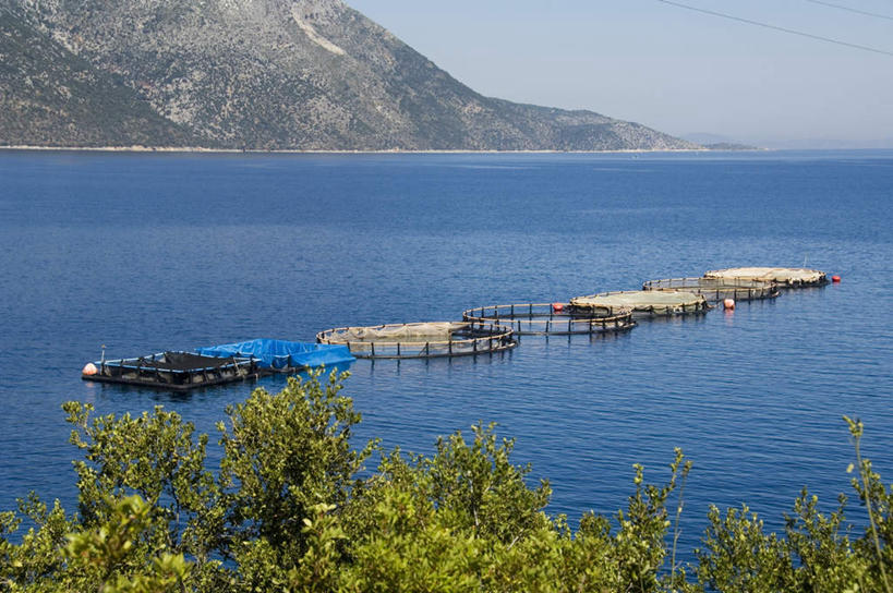 无人,横图,室外,白天,正面,旅游,度假,养殖场,草地,草坪,海浪,海洋,美景,山,山脉,植物,希腊,欧洲,阴影,光线,影子,景观,浪花,山峰,山峦,娱乐,草,树,树木,蓝色,绿色,蓝天,天空,阳光,自然,海水,群山,天,享受,休闲,景色,放松,生长,渔网,晴朗,成长,渔具,抓捕,自然风光,捕捞,鱼网,海景,希腊共和国,万里无云,拉网,捕捞工具,渔场,大海,风浪,海,海水的波动,近岸浪,涌浪,晴空,晴空万里,彩图