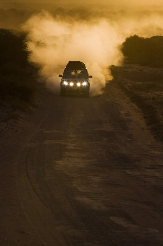无人,竖图,室外,白天,正面,旅游,度假,自由,美景,植物,道路,路,越野车,汽车,照明,澳大利亚,阴影,光线,影子,景观,小路,交通,背光,尘埃,娱乐,车,灯,树,树木,蓝色,绿色,蓝天,天空,阳光,自然,灯具,交通工具,天,享受,休闲,景色,放松,生长,晴朗,成长,照亮,灰尘,尘土,照明设备,自然风光,载具,大洋洲,澳洲,吉普车,逆光,前照灯,前大灯,万里无云,南方大陆,车前灯,澳大利亚联邦,自在,晴空,晴空万里,彩图