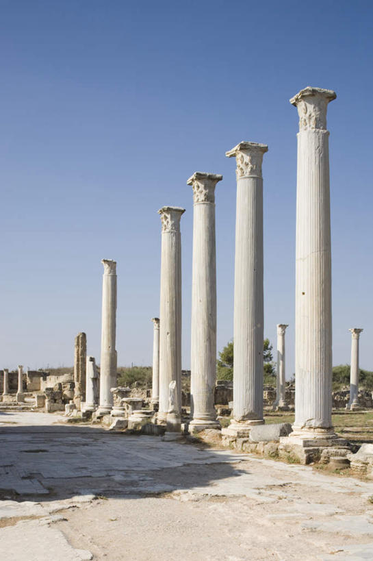 无人,竖图,室外,白天,正面,旅游,度假,草地,草坪,石头,名胜古迹,树林,植物,标志建筑,地标,建筑,塞浦路斯,亚洲,阴影,遗迹,光线,石子,影子,柱子,古迹,文物,娱乐,建设,古建筑,草,树,树木,蓝色,绿色,蓝天,天空,阳光,自然,天,享受,休闲,旅游胜地,放松,生长,晴朗,成长,西亚,古文明,万里无云,塞浦路斯共和国,石块,岩石,晴空,晴空万里,彩图