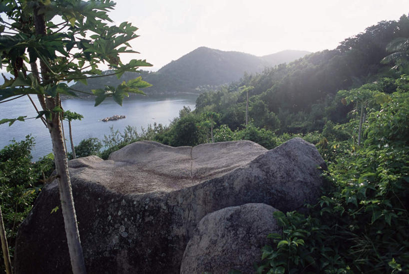无人,横图,室外,白天,正面,旅游,度假,草地,草坪,岛屿,海浪,海洋,石头,美景,山,山脉,植物,叶子,非洲,塞舌尔,阴影,光线,石子,影子,岛,景观,浪花,山峰,绿叶,山峦,娱乐,草,树,树木,蓝色,绿色,蓝天,天空,阳光,自然,海水,群山,天,享受,休闲,嫩叶,景色,放松,生长,晴朗,成长,自然风光,海景,沉积岩,塞舌尔共和国,万里无云,阿非利加洲,东非,普拉斯林岛,水成岩,叶,叶片,大海,风浪,海,海水的波动,近岸浪,列岛,群岛,石块,岩石,涌浪,诸岛,晴空,晴空万里,彩图