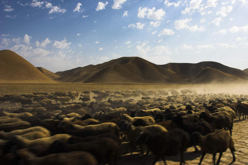 无人,跑,横图,室外,白天,正面,旅游,度假,美景,沙漠,山,山脉,羊,阿富汗,亚洲,许多,阴影,光线,影子,景观,山峰,云,云朵,山峦,云彩,注视,娱乐,黄色,蓝色,白云,蓝天,天空,阳光,自然,动物,群山,天,观察,看,享受,休闲,家畜,景色,放松,牲畜,晴朗,观看,察看,关注,自然风光,西亚,阿富汗伊斯兰国,大漠,砂漠,晴空,绵羊,跑步,半身,彩图