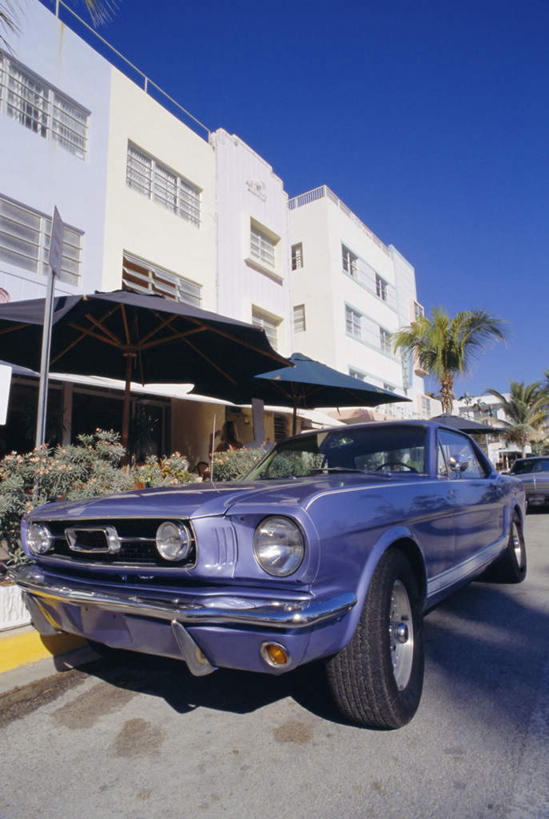 无人,家,竖图,室外,白天,正面,旅游,度假,植物,城市,汽车,棕榈树,叶子,美国,阴影,光线,影子,房屋,屋子,绿叶,娱乐,楼房,住宅,车,树,树木,蓝色,绿色,蓝天,天空,阳光,自然,交通工具,轿车,天,享受,休闲,嫩叶,旅游胜地,放松,生长,晴朗,成长,北美,北美洲,载具,美洲,棕榈叶,佛罗里达,佛罗里达州,迈阿密,佛州,阳光州,万里无云,北亚美利加洲,亚美利加洲,雨篷,叶,叶片,晴空,晴空万里,彩图,房子