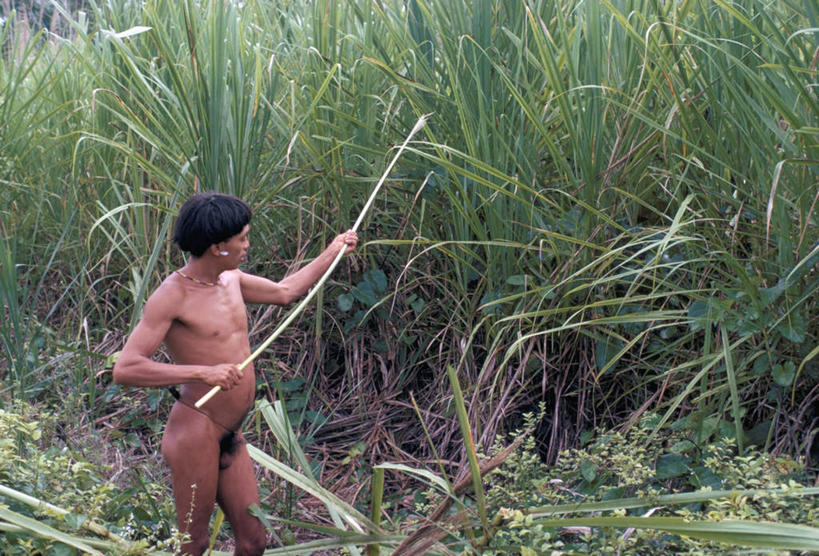 西方人,裸体,一个人,站,横图,俯视,室外,白天,旅游,度假,美景,芦苇,巴西,欧洲,非洲,黑人,欧洲人,仅一个男性,仅一个人,仅一个中年男性,握,阴影,光线,影子,景观,拿,拿着,注视,娱乐,阳光,自然,观察,看,站着,享受,休闲,景色,南美,放松,握着,观看,察看,南美洲,拉丁美洲,关注,自然风光,美洲,巴西联邦共和国,亚美利加洲,南亚美利加洲,芦芛,芦,芦花,苇,赤身,男人,男性,中年男性,非洲人,站立,半身,彩图,高角度拍摄