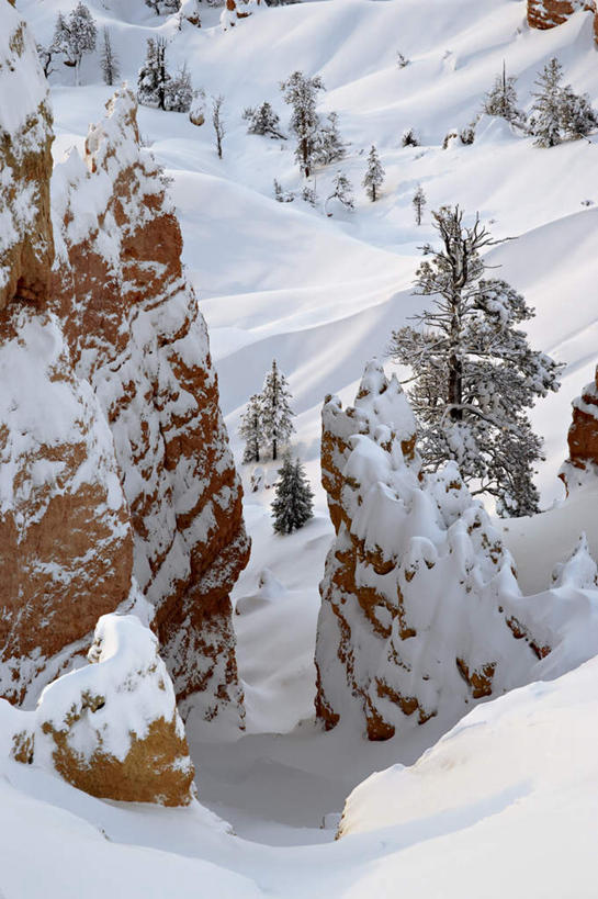 无人,公园,竖图,俯视,室外,白天,旅游,度假,石头,美景,山,雪,雪山,植物,大雪,美国,石子,冰,积雪,景观,山峰,雪景,冬季,冬天,山峦,娱乐,树,树木,绿色,自然,享受,休闲,景色,放松,寒冷,生长,成长,冰冷,北美,北美洲,国家公园,犹他州,自然风光,美洲,北亚美利加洲,亚美利加洲,犹他,蜂窝之州,蜂房州,严寒,冰凉,酷寒,凛冽,凛凛,极冷,布莱斯国家公园,布莱斯峡谷,布莱斯峡谷国家公园,石块,岩石,彩图,高角度拍摄