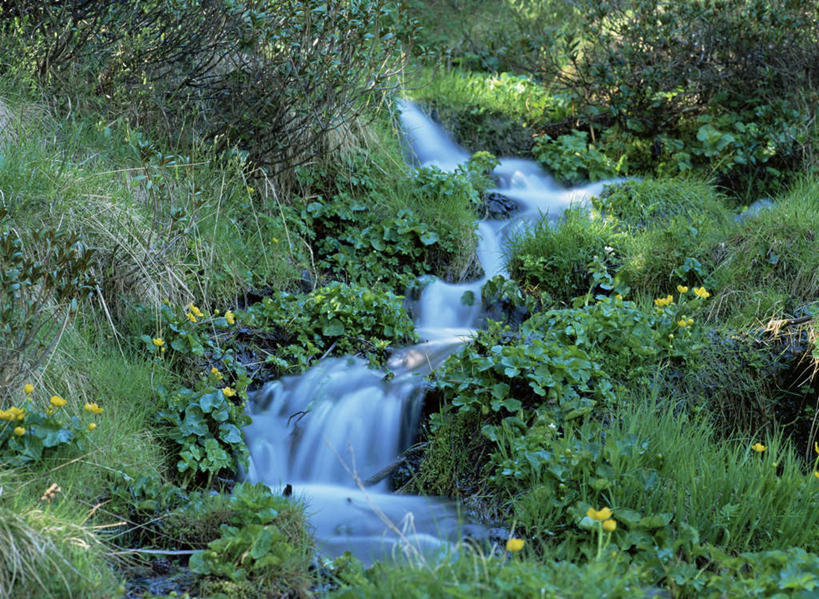 无人,横图,俯视,室外,白天,旅游,度假,草地,草坪,花海,花圃,河流,美景,瀑布,水,植物,叶子,欧洲,安道尔,阴影,飞溅,盛开,溅,光线,液体,影子,河水,景观,水滴,水流,万寿菊,花蕾,娱乐,水珠,草,花,花瓣,花朵,花卉,鲜花,绿色,小溪,阳光,自然,花丛,花束,花田,溪水,花苞,花蕊,享受,休闲,健康,景色,放松,喷洒,自然风光,长寿,臭芙蓉,蜂窝菊,安道尔公国,友情,跌水,彩图,高角度拍摄