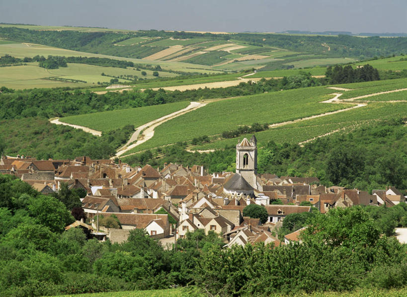 无人,家,横图,俯视,室外,白天,旅游,度假,草地,草坪,美景,植物,建筑,法国,欧洲,阴影,光线,瓦片,影子,房屋,屋顶,屋子,景观,顶棚,瓦,娱乐,楼房,住宅,草,树,树木,蓝色,绿色,蓝天,天空,阳光,自然,天,享受,休闲,景色,放松,建造,生长,晴朗,成长,勃艮第,自然风光,屋瓦,万里无云,法兰西共和国,法兰西第五共和国,勃艮第大区,晴空,晴空万里,彩图,高角度拍摄,房子