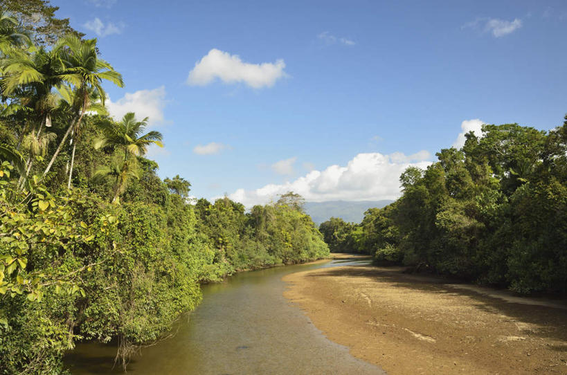 无人,公园,横图,室外,白天,正面,旅游,度假,河流,美景,沙滩,树林,水,植物,澳大利亚,阴影,光线,沙子,影子,海岸,河水,景观,水流,云,云朵,沙地,云彩,娱乐,树,树木,蓝色,绿色,白云,蓝天,天空,阳光,自然,天,享受,休闲,景色,放松,生长,晴朗,成长,国家公园,自然风光,大洋洲,澳洲,昆士兰州,南方大陆,澳大利亚联邦,昆士兰,丹翠国家公园,海滩,晴空,彩图