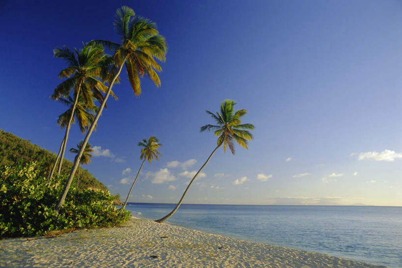 无人,横图,室外,白天,正面,旅游,度假,海浪,海洋,美景,沙滩,植物,棕榈树,叶子,阴影,光线,沙子,影子,海岸,景观,浪花,水平线,云,云朵,辽阔,绿叶,海平线,沙地,云彩,娱乐,树,树木,蓝色,绿色,白云,蓝天,天空,阳光,自然,海水,天,享受,休闲,广阔,嫩叶,景色,放松,生长,晴朗,成长,一望无际,北美,北美洲,自然风光,美洲,海景,棕榈叶,北亚美利加洲,亚美利加洲,无边无际,一马平川,安提瓜岛,巴布达,巴布达岛,安提瓜,杜尔西纳岛,叶,叶片,大海,风浪,海,海水的波动,海滩,近岸浪,涌浪,晴空,彩图,水天相接,水天一线