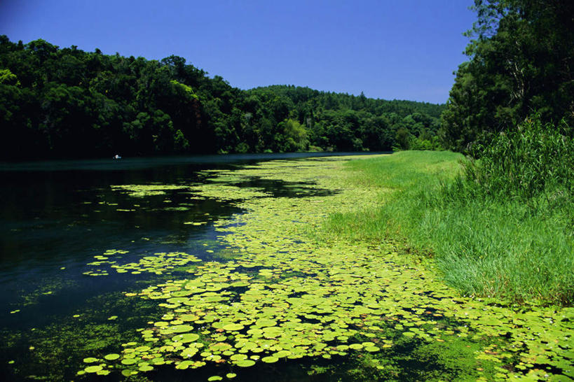 无人,横图,室外,白天,正面,旅游,度假,湖,湖泊,美景,山,山脉,树林,水,植物,叶子,澳大利亚,阴影,波纹,光线,影子,湖面,景观,山峰,水流,水面,枯叶,落叶,涟漪,山峦,娱乐,树,树木,蓝色,绿色,倒影,蓝天,水纹,天空,阳光,自然,波浪,湖水,群山,天,享受,休闲,景色,放松,生长,晴朗,成长,倒映,自然风光,大洋洲,澳洲,昆士兰州,万里无云,南方大陆,水晕,澳大利亚联邦,反照,凯恩斯,库兰达,叶,叶片,晴空,晴空万里,彩图
