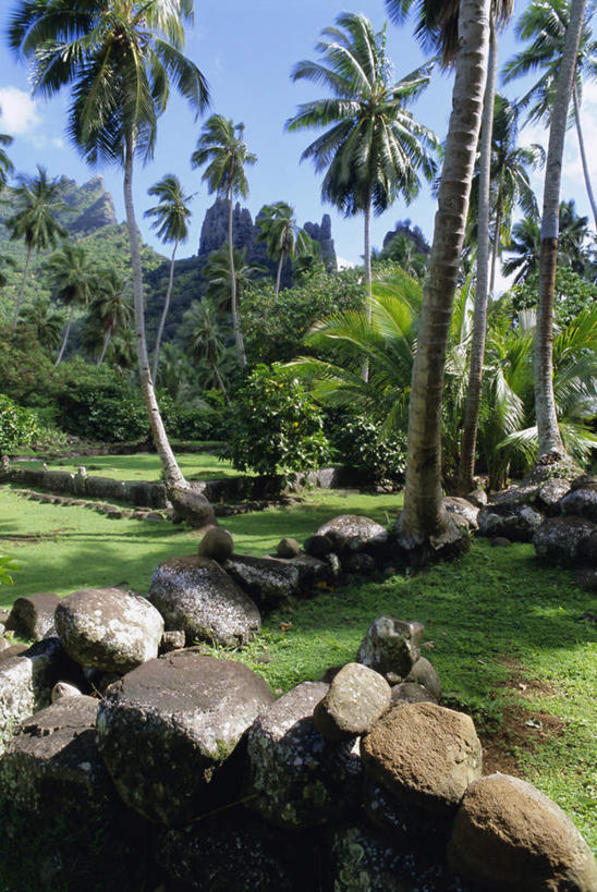 无人,竖图,室外,白天,正面,旅游,度假,草地,草坪,石头,名胜古迹,植物,标志建筑,地标,建筑,棕榈树,叶子,一堆,阴影,堆叠,堆积,遗迹,光线,石子,影子,云,云朵,绿叶,云彩,古迹,文物,娱乐,建设,古建筑,废墟,草,树,树木,蓝色,绿色,白云,蓝天,天空,阳光,自然,天,享受,休闲,嫩叶,旅游胜地,放松,生长,晴朗,成长,堆,大洋洲,古文明,棕榈叶,法属波利尼西亚,法属玻利尼西亚,马克萨斯群岛,叶,叶片,石块,岩石,晴空,彩图