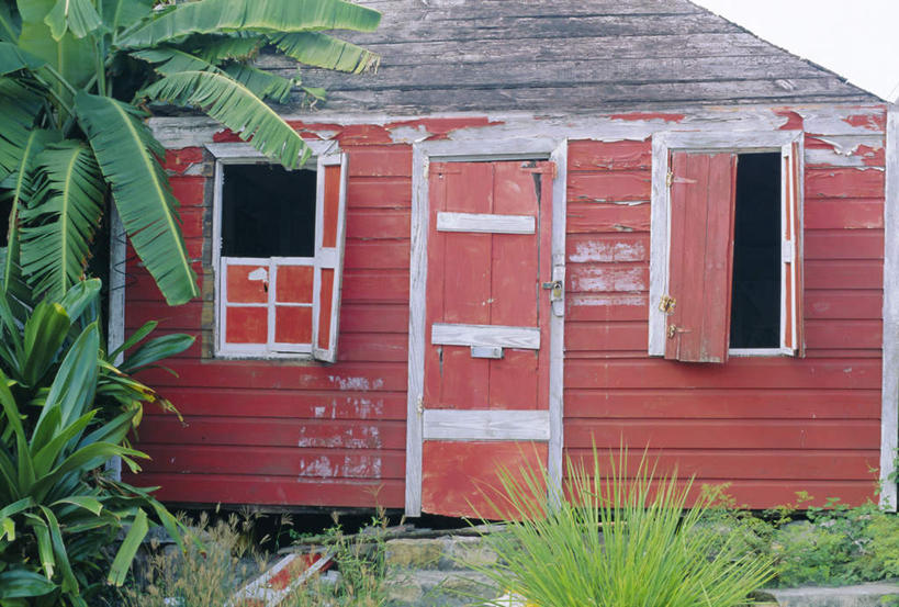 无人,家,横图,室外,白天,正面,旅游,度假,美景,植物,别墅,门,棕榈树,叶子,房屋,墙,屋子,景观,公寓,绿叶,娱乐,洋房,楼房,墙壁,墙面,住宅,树,树木,红色,绿色,自然,门框,享受,休闲,嫩叶,景色,放松,生长,成长,北美,北美洲,自然风光,美洲,棕榈叶,北亚美利加洲,亚美利加洲,安提瓜岛,巴布达,巴布达岛,安提瓜,杜尔西纳岛,叶,叶片,彩图,房子