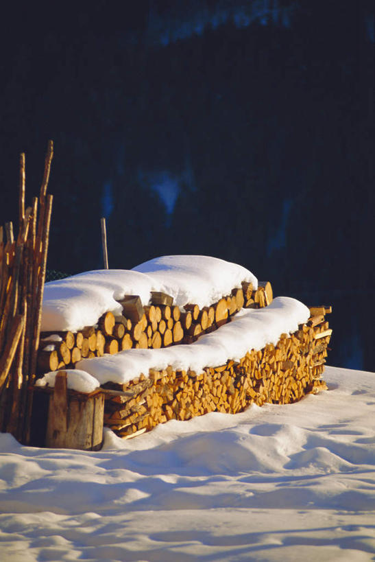 无人,竖图,室外,白天,正面,旅游,度假,美景,雪,大雪,意大利,欧洲,一排,许多,阴影,整齐,光线,木材,影子,积雪,景观,雪景,冬季,冬天,很多,娱乐,木柴,排列,阳光,自然,享受,休闲,景色,放松,寒冷,木料,堆,队列,南欧,自然风光,意大利共和国,严寒,特伦蒂诺.上阿迪杰大区,彩图
