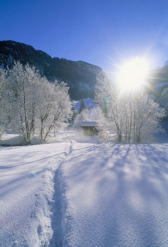 无人,家,木屋,竖图,室外,白天,正面,旅游,度假,石头,美景,山,雪,雪山,植物,大雪,瑞士,欧洲,阴影,光线,石子,影子,冰,积雪,景观,山顶,山峰,雪景,冬季,冬天,山峦,首都,娱乐,伯尔尼,住宅,树,树木,蓝色,绿色,蓝天,天空,阳光,自然,天,享受,休闲,景色,放松,寒冷,生长,晴朗,成长,冰冷,自然风光,中欧,沉积岩,万里无云,首府,严寒,瑞士联邦,冰凉,酷寒,凛冽,凛凛,极冷,伯尔尼州,颠峰,极峰,水成岩,格施塔德,石块,岩石,晴空,晴空万里,彩图,茅舍,茅屋,棚屋,小木屋,小屋