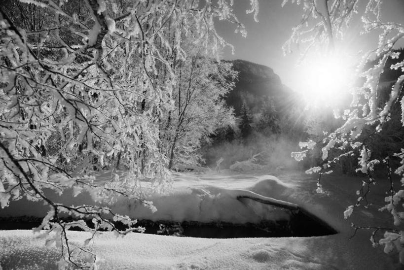 无人,横图,黑白,室外,白天,正面,旅游,度假,美景,雪,植物,大雪,瑞士,欧洲,阴影,光线,影子,积雪,景观,雪景,冬季,冬天,枝条,首都,娱乐,伯尔尼,树,树木,树枝,绿色,阳光,自然,享受,休闲,景色,放松,寒冷,生长,成长,自然风光,中欧,首府,严寒,瑞士联邦,伯尔尼州,虬枝,枝杈,格施塔德
