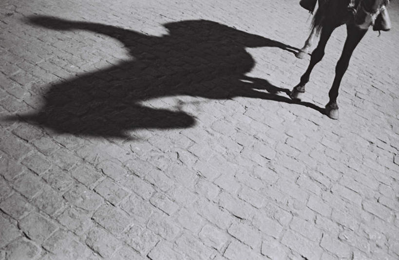 无人,站,横图,俯视,黑白,室外,白天,马,野生动物,阴影,光线,影子,泥土,土壤,地面,注视,一匹,动物,观察,看,站着,运输,牲畜,观看,察看,关注,站立,半身,高角度拍摄