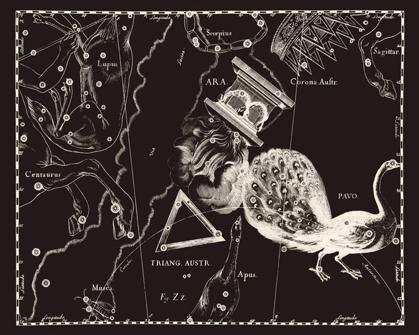 无人,横图,黑白,孔雀,地图,科学,星星,摄影,星座,祭坛,手艺,天文学,拉丁文,雕刻术