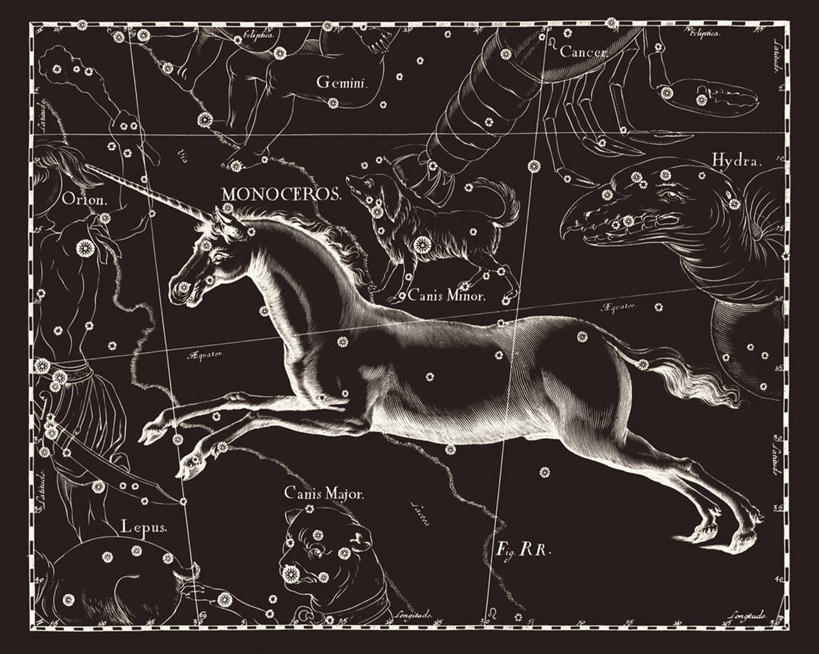 无人,横图,黑白,地图,科学,星星,摄影,星座,手艺,天文学,独角兽,拉丁文,雕刻术