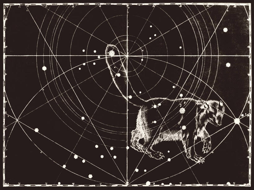 无人,横图,黑白,地图,科学,星星,摄影,北极星,星座,手艺,天文学,雕刻术