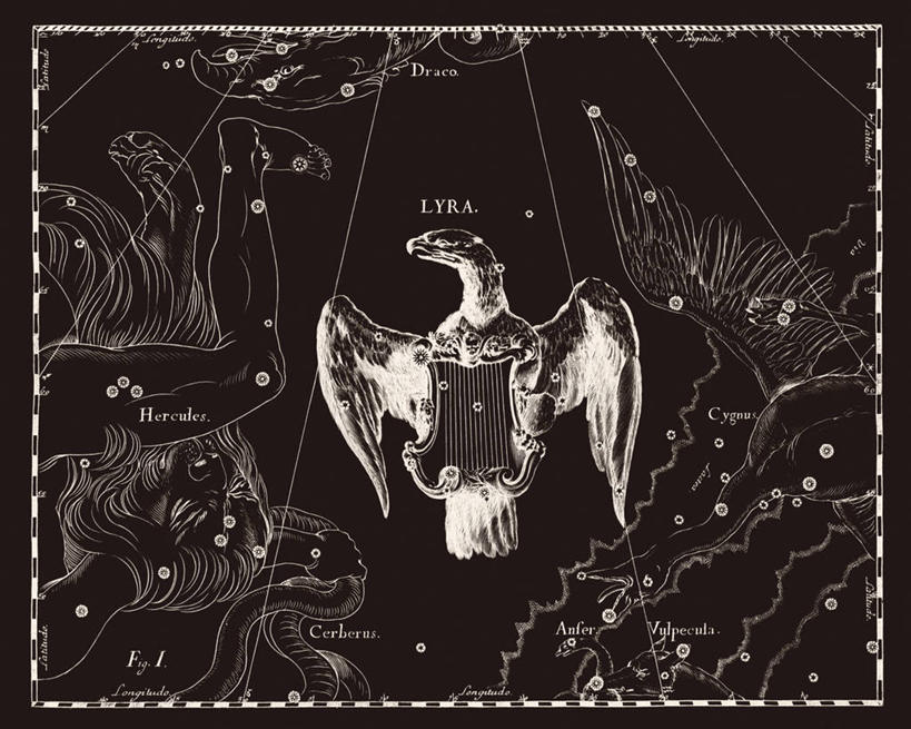 无人,横图,黑白,鹰,地图,科学,星星,摄影,星座,手艺,天文学,拉丁文,雕刻术