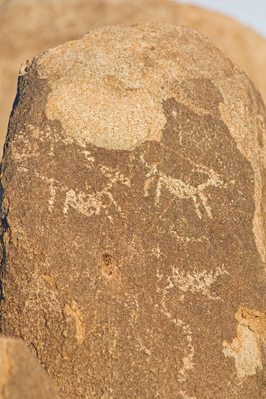 无人,竖图,室外,绘画,通讯,美国,艺术,装饰,羚羊,墙,历史,文化,壁画,墙壁,墙面,摄影,洞穴,华丽,修饰,点缀,考古学,亚利桑那,北美,北美洲,国家公园,美洲,亚利桑那州,大峡谷之州,北亚美利加洲,亚美利加洲,衬托,美观,雅致,雅观,萨瓜罗国家公园,美术工艺,皮马县,岩石,画画,彩图,美利坚合众国