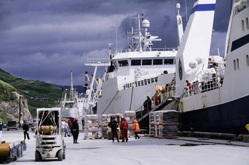 西方人,成年人,中年人,人群,横图,船,欧洲,美国,欧洲人,工业,运输,摄影,黄线狭鳕,男人,中年男性,白种人,海产,彩图