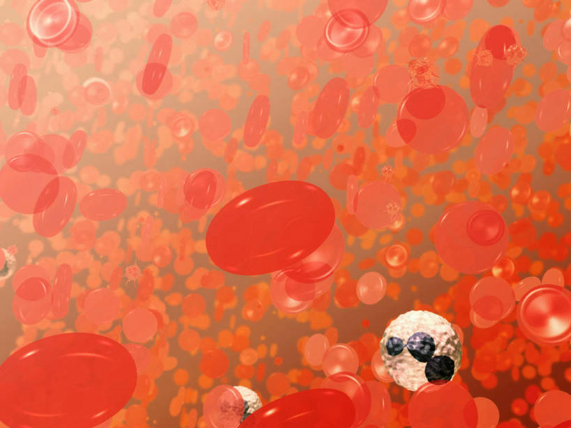 无人,横图,插画,数码,科技,阴影,科学,网络,高光,几何,计算机图形,合成,图画,画,血液,电脑合成图,数码合成图,血小板,合成图,漫画,计算机制图,白细胞,写实,具体,具象,红细胞,人体结构,彩图,嗜中性粒细胞