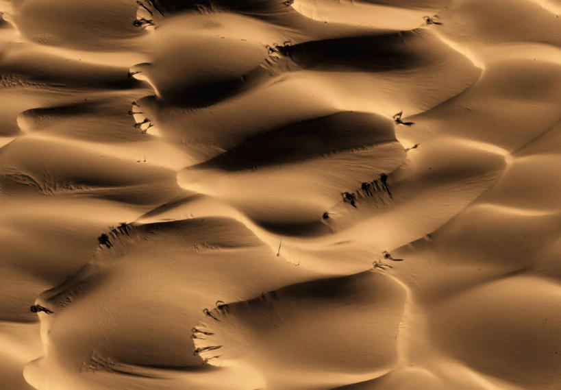 无人,横图,沙漠,沙丘,摄影,太阳系,灰尘,地貌,地质学,彩图,空间探索