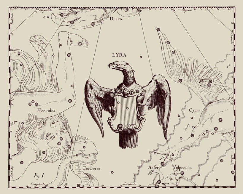 无人,横图,鹰,地图,艺术,科学,星星,摄影,星座,天文学,拉丁文,彩图,雕刻术