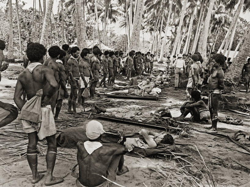 成年人,中年人,横图,黑白,室外,白天,树林,植物,棕榈树,巴布亚新几内亚,士兵,军事,工作,许多人,树,树木,绿色,自然,一群人,战争,运输,摄影,生长,成长,第二次世界大战,受伤,损伤,中年男性,挫伤