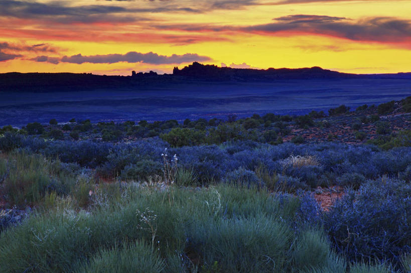 无人,横图,室外,日落,沙漠,蓝色,摄影,拱门国家公园,犹他,彩图,山艾树