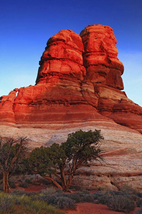 无人,竖图,室外,白天,日出,石头,沙漠,发光,塔,光亮,红色,摄影,岩层,峡谷地国家公园,犹他,岩石,彩图