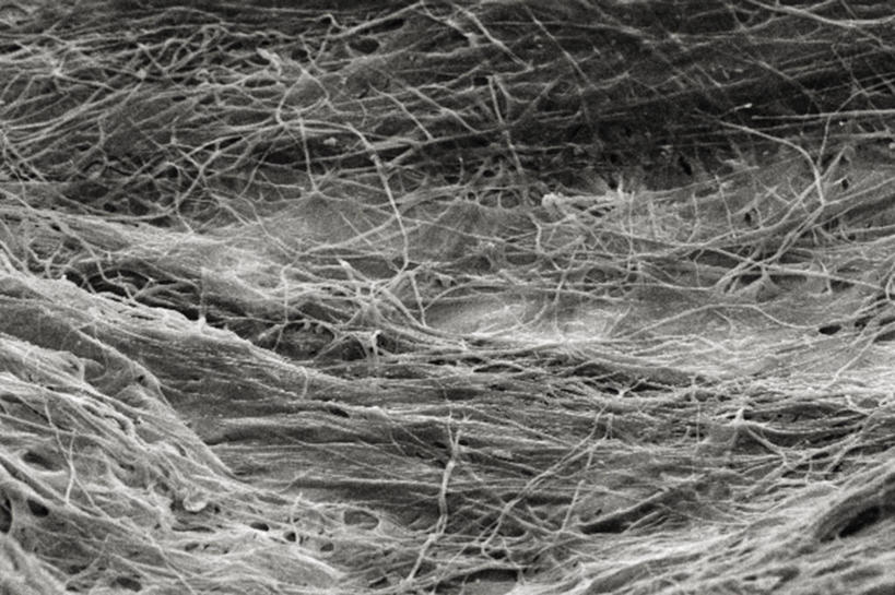 无人,横图,黑白,仪器,蜜蜂,检查,反射,分析,科学,昆虫,显微镜,纸,织物,层次,观察,清晰,探索,摄影,放大,观看,仔细,纤维,透镜,凸透镜,聚焦,关注,蜂箱,光学,清楚,扫描电镜,扫描电子显微镜,机织物