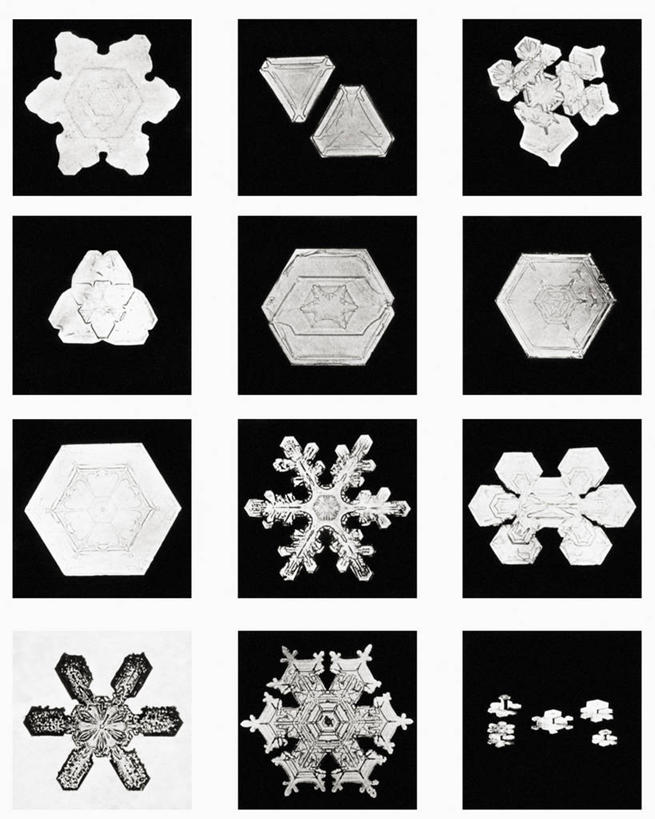 无人,竖图,黑白,微距,美国,标志,格子,六边形,数字,文字,字符,冰,雪花,标识,冰晶,摄影,阿拉伯数字,北美,北美洲,美洲,佛蒙特州,佛蒙特,绿岭之州,北亚美利加洲,亚美利加洲,美利坚合众国,耶利哥