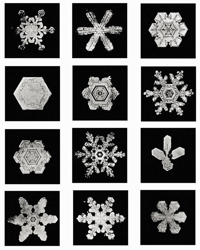 无人,竖图,黑白,微距,美国,标志,格子,六边形,数字,文字,字符,冰,雪花,标识,冰晶,摄影,阿拉伯数字,北美,北美洲,美洲,佛蒙特州,佛蒙特,绿岭之州,北亚美利加洲,亚美利加洲,美利坚合众国,耶利哥