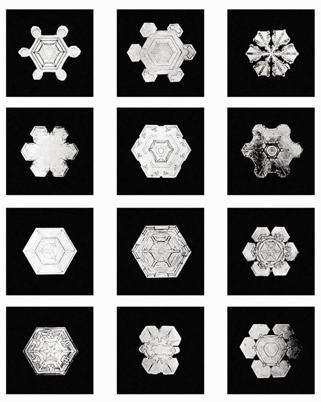 无人,竖图,黑白,微距,美国,标志,格子,六边形,数字,文字,字符,冰,雪花,标识,冰晶,摄影,阿拉伯数字,北美,北美洲,美洲,佛蒙特州,佛蒙特,绿岭之州,北亚美利加洲,亚美利加洲,美利坚合众国,耶利哥